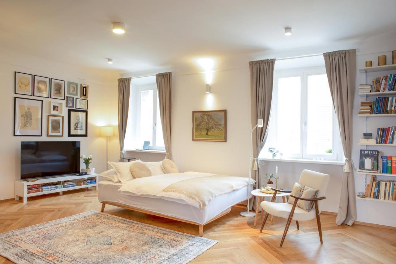 Stylish Apartment In Historical Center Ljubljana Bagian luar foto